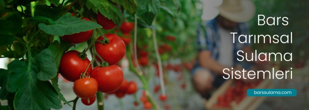 Bars Mühendislik Sera Sulama ve Otomasyon Sistemleri | Netafim Antalya