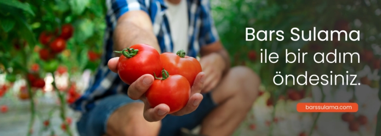 Bars Mühendislik Sera Sulama ve Otomasyon Sistemleri | Netafim Antalya